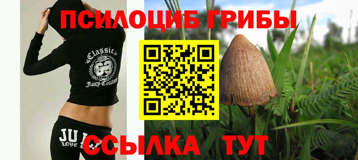 Псилоцибиновые грибы GOLDEN TEACHER Печора